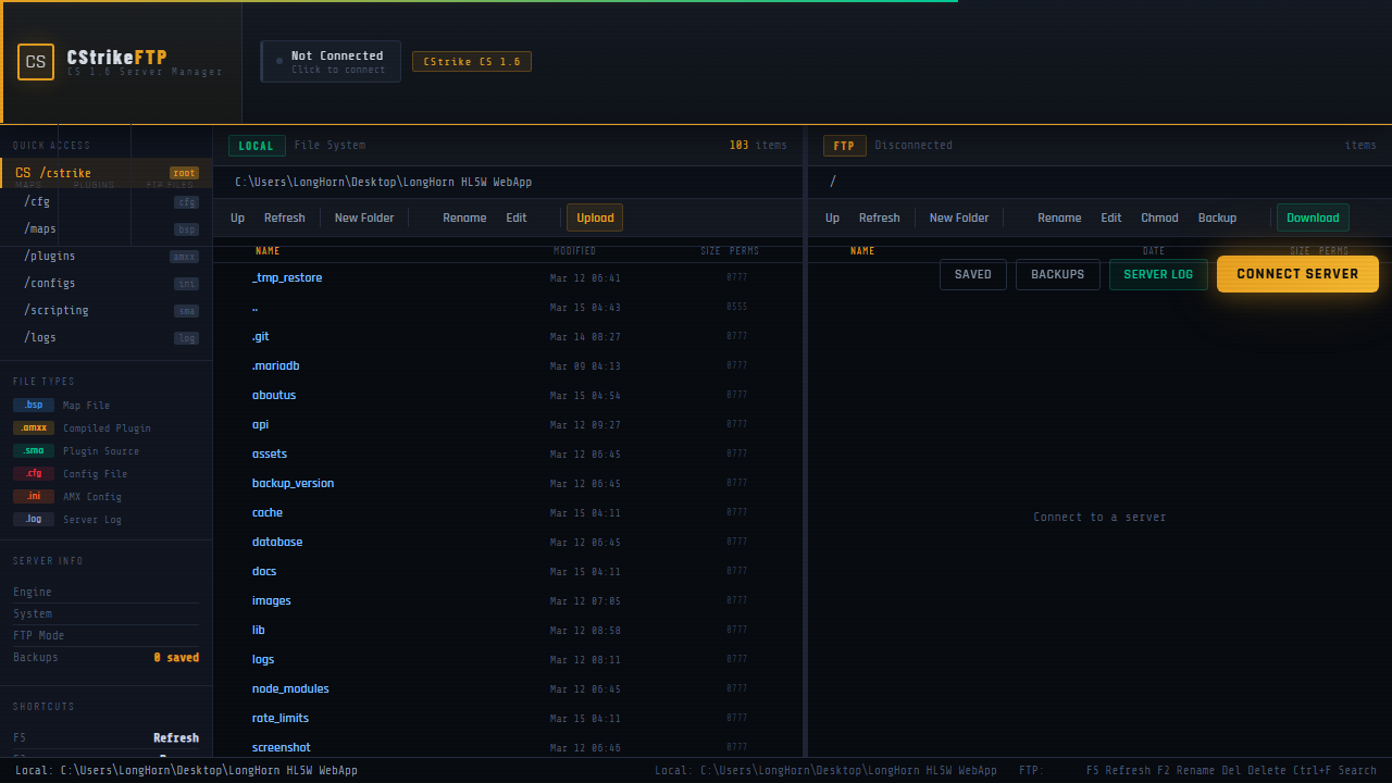 FTP access page screenshot